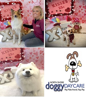 North Shore Doggy Daycare, LLC